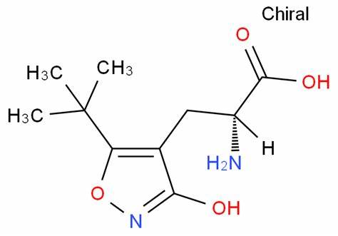 OIP-C (1).jpg